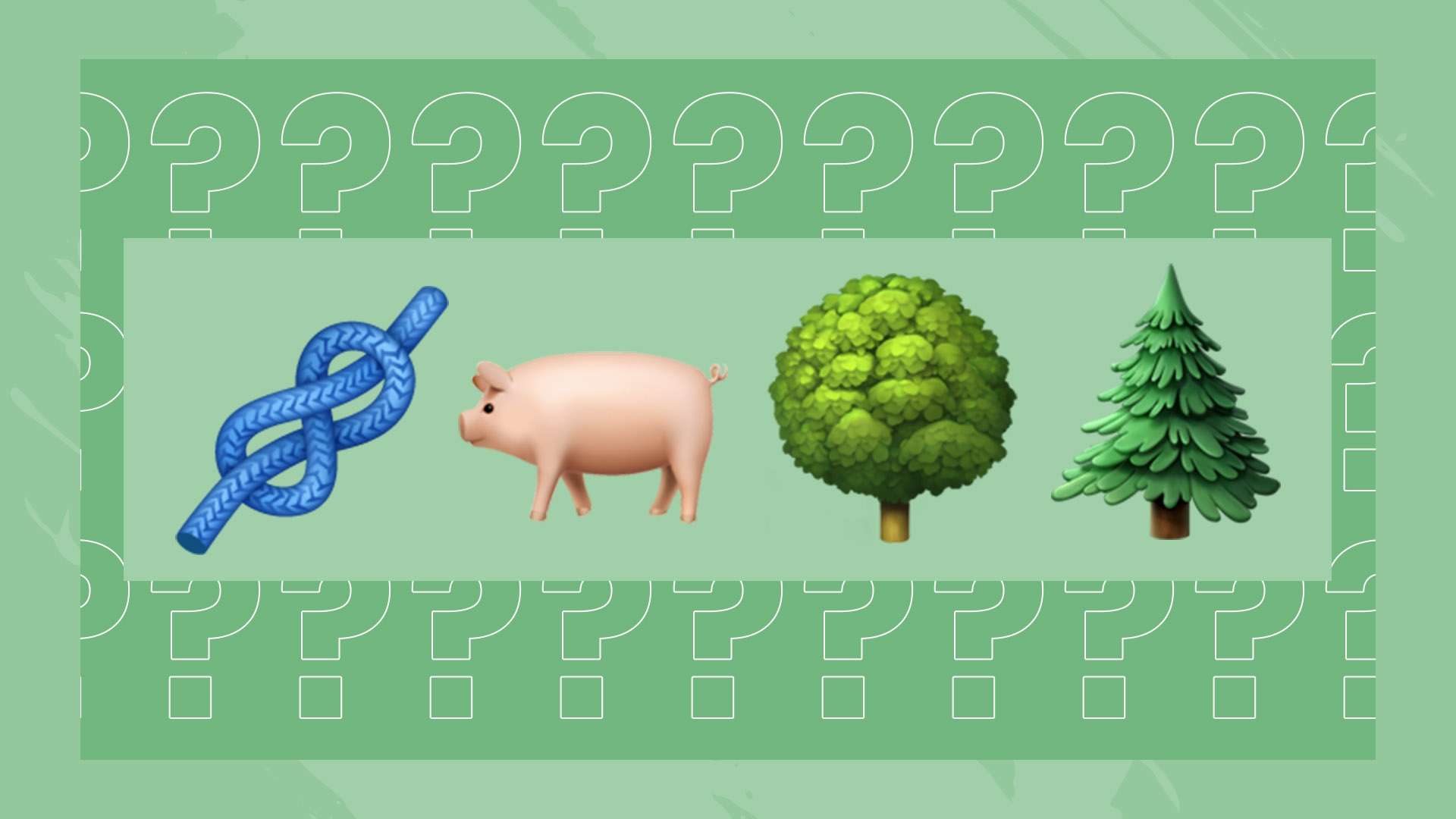 排可能給羅 排可能給羅