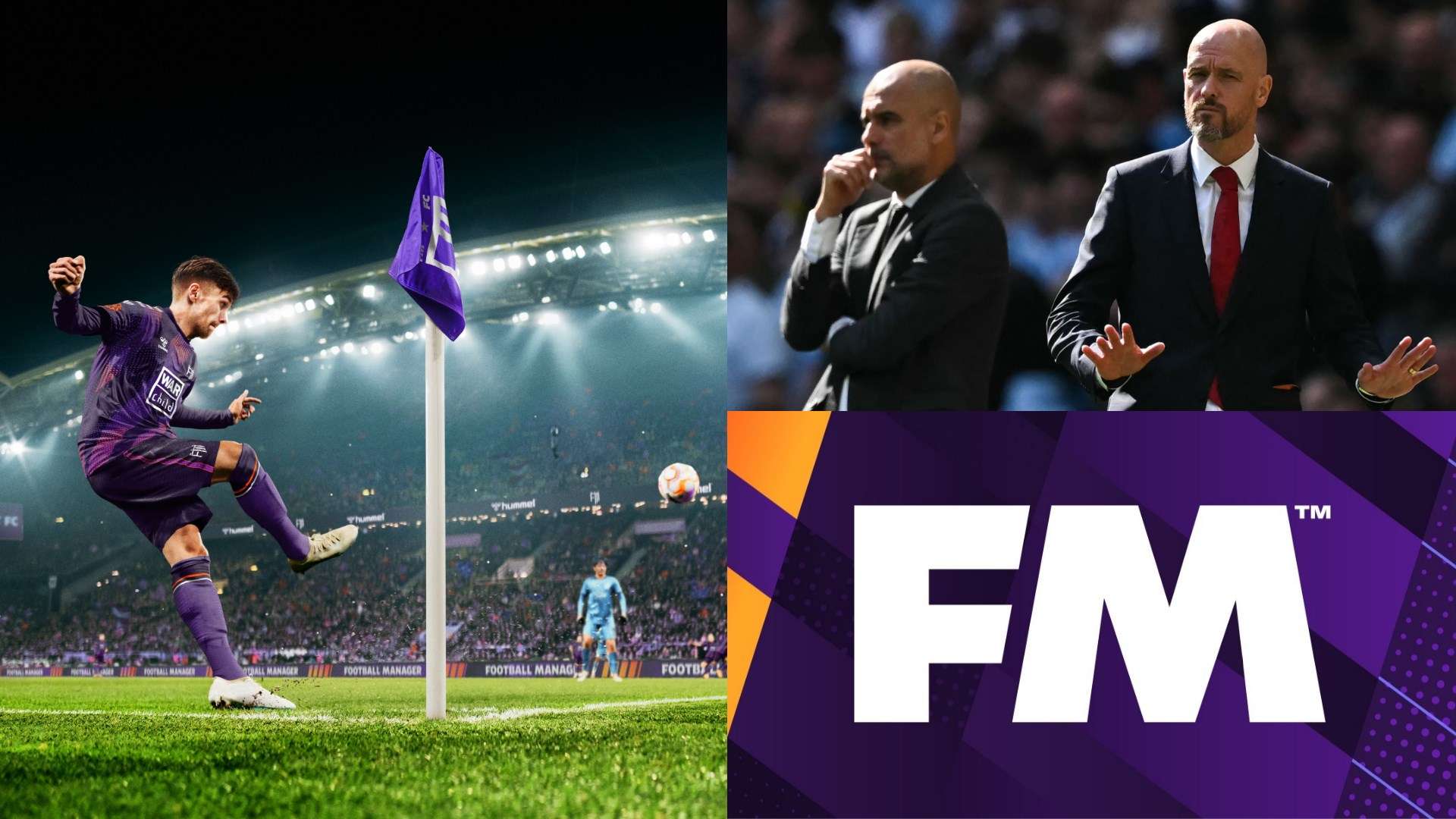 不仅稳固了 不仅稳固了